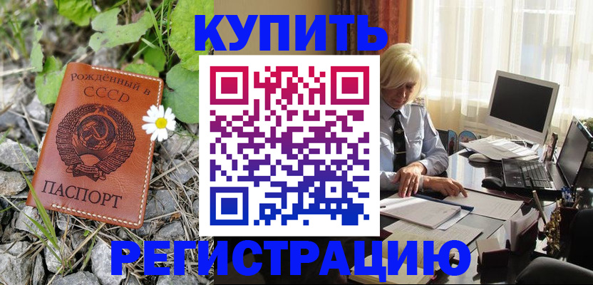 временная регистрация недорого в Шали