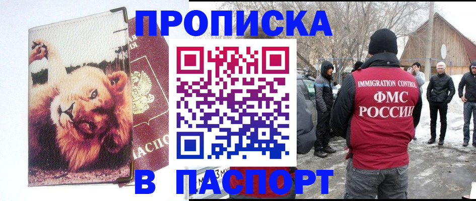 временная регистрация гарантия в Шали